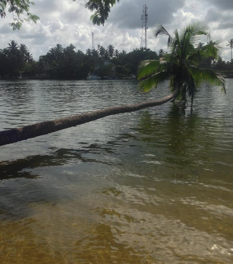 Supun Villa Bentota Luaran gambar